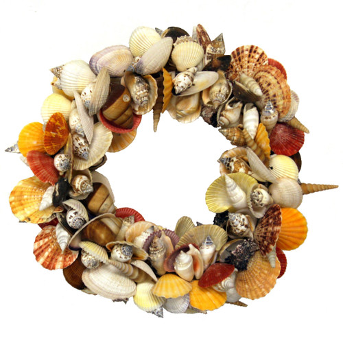 Colorful Natural Mixed Seashell Cluster Accent Wreath 12.5 Inch Diameter Main image