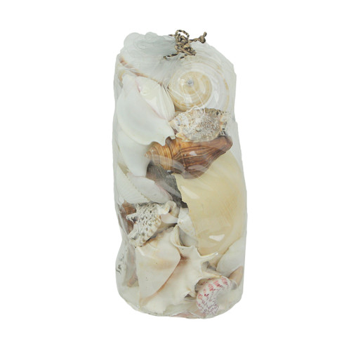 3 Pound Bag Full of Mixed Seashells Decorative Filler Clam, Scallop, Cone Shells Main image