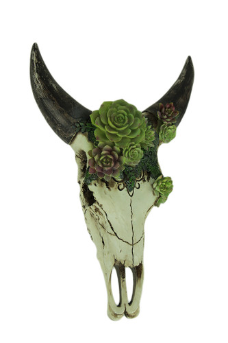 Aged Bull Skull with Succulent Plants Hanging Statue Main image