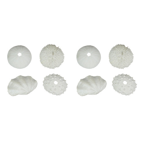 Set of 8 White Resin Clam and Sea Urchin Shell Decorative Accent Figures Main image