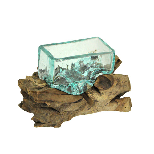 Rectangular Glass On Driftwood Decorative Bowl/Vase/Terrarium Succulent Planter Main image