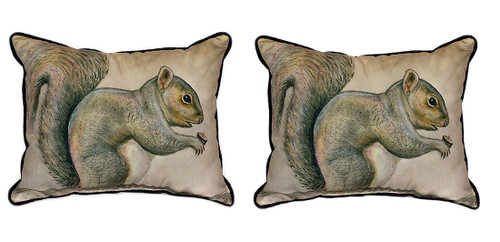Pair of Betsy Drake Squirrel Large Pillows 15 Inch x 22 Inch Main image