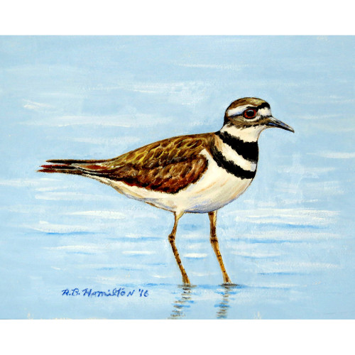 Betsy Drake Killdeer Outdoor Wall Hanging 24x30 Main image