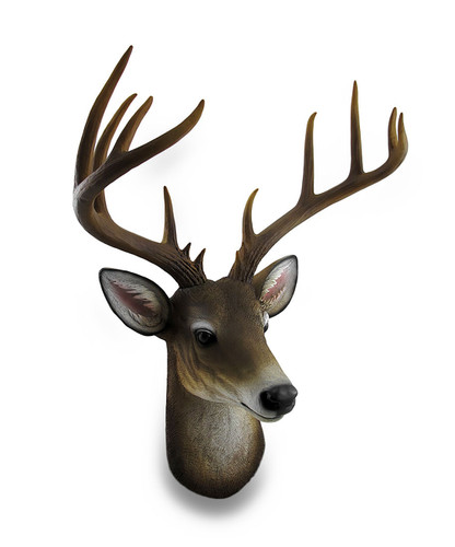 12 Point Buck Deer Head Bust Wall Hanging Lodge Decor Trophy Mount 23.5 Inches Main image