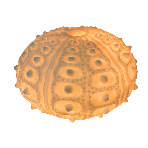 Coastal Sea Urchin Lamp, 12" Resin Sculpture with Warm Glow, Decorative Accent Additional image