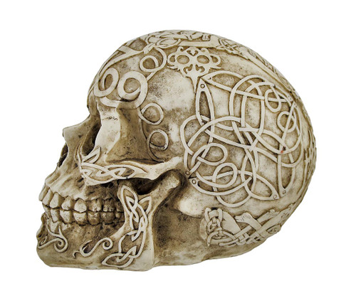 Celtic Owl Knotwork Human Skull Statue Pagan Additional image