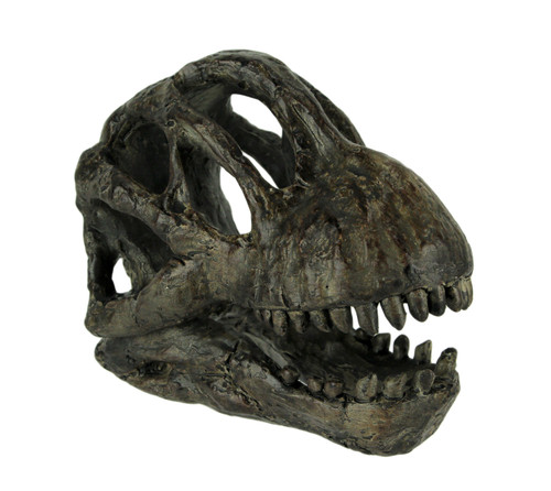 6 inch Brachiosaurus Dinosaur Skull Fossil Statue Resin Brown Office Desk Décor Main image