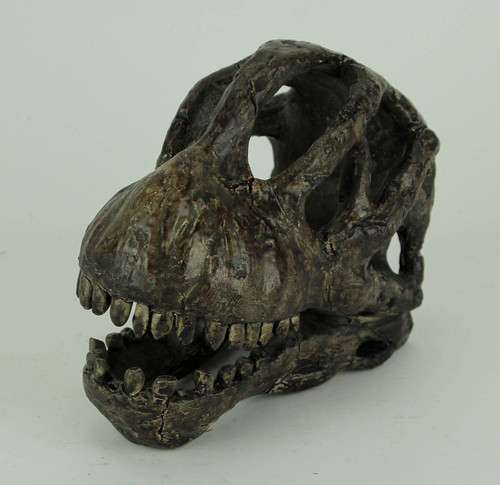 6 inch Brachiosaurus Dinosaur Skull Fossil Statue Resin Brown Office Desk Décor Additional image