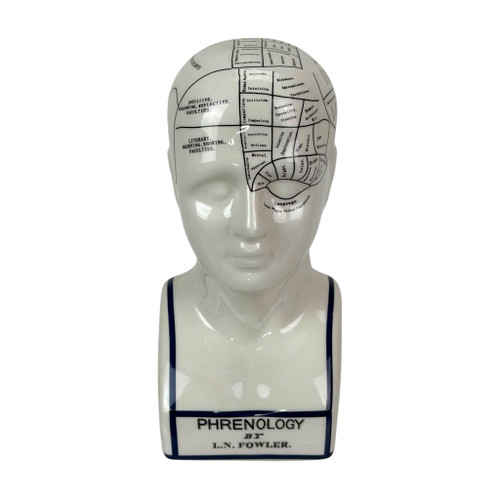 Ceramic Phrenology Bust Collectible Figurine Glossy White Scientific Decor Main image