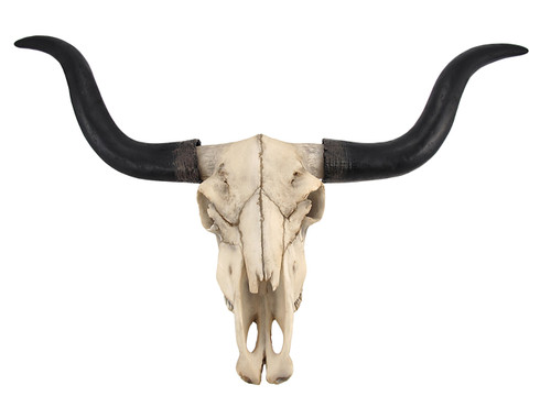 Huge Wall Hanging Longhorn Cow Skull 27in Wide Resin Long Horn Steer Wall Decor Main image