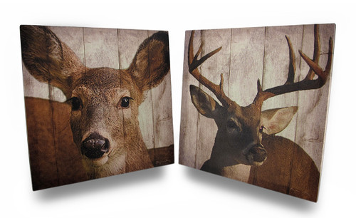 Scratch & Dent Set of 2 Printed Canvas Deer Print Wall Hangings Doe and Buck Main image