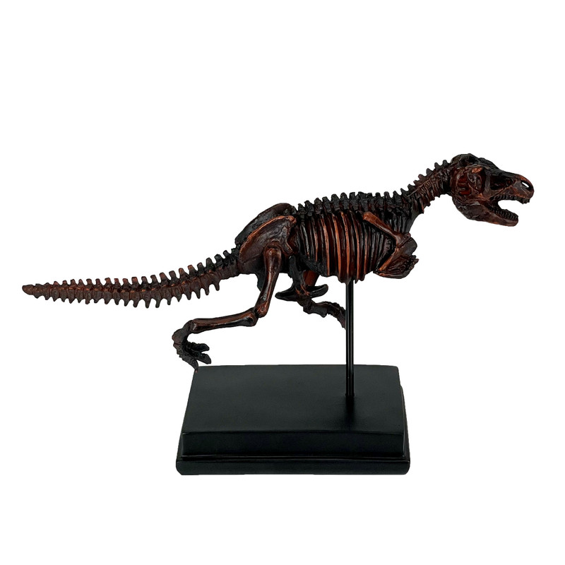 Tyrannosaurus Rex Skeleton Statue T-Rex on Museum Mount Main image