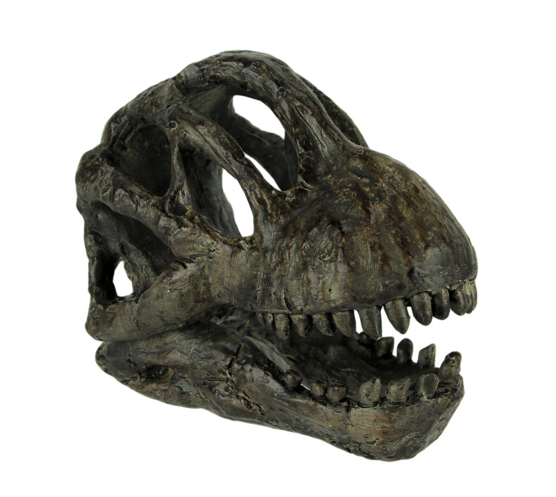 6 inch Brachiosaurus Dinosaur Skull Fossil Statue Resin Brown Office Desk Décor Main image