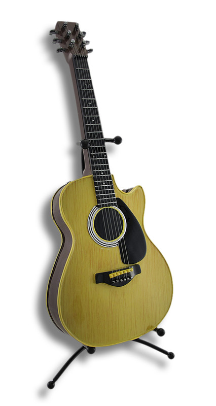 Classic Acoustic Guitar Coin Bank with Stand Main image