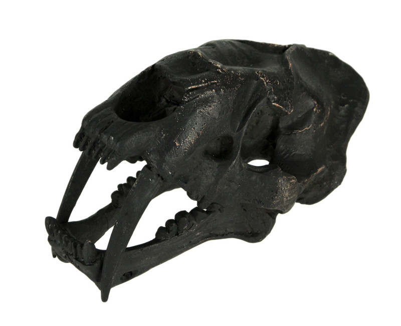 Black Saber Toothed Cat Skull Statue Small Main image