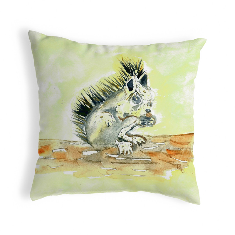 Betsy Drake Baby Squirrel Noncorded Pillow 18x18 Main image