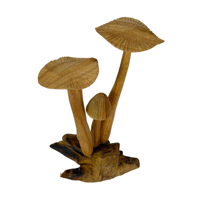 Wood Mushroom Sculpture Natural Tabletop Figurine Root Base Decor Main image