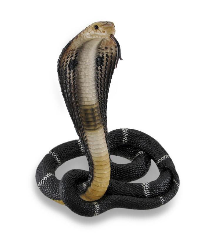 Coiled and Rearing King Cobra Sculptured Statue Main image