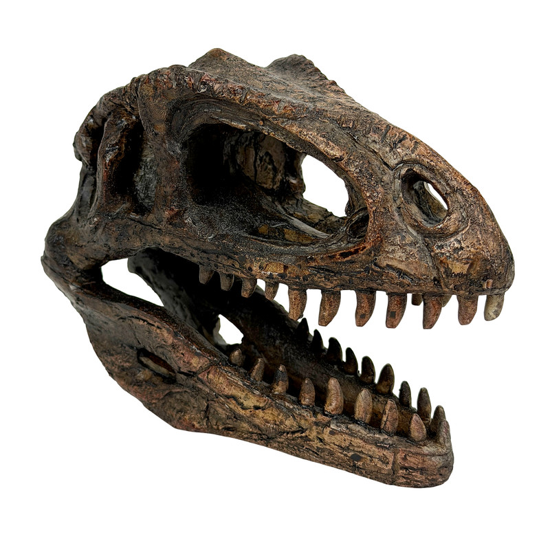 Dinosaur Fossil Statue Brown Resin Prehistoric Tabletop Shelf Accent Decor Main image