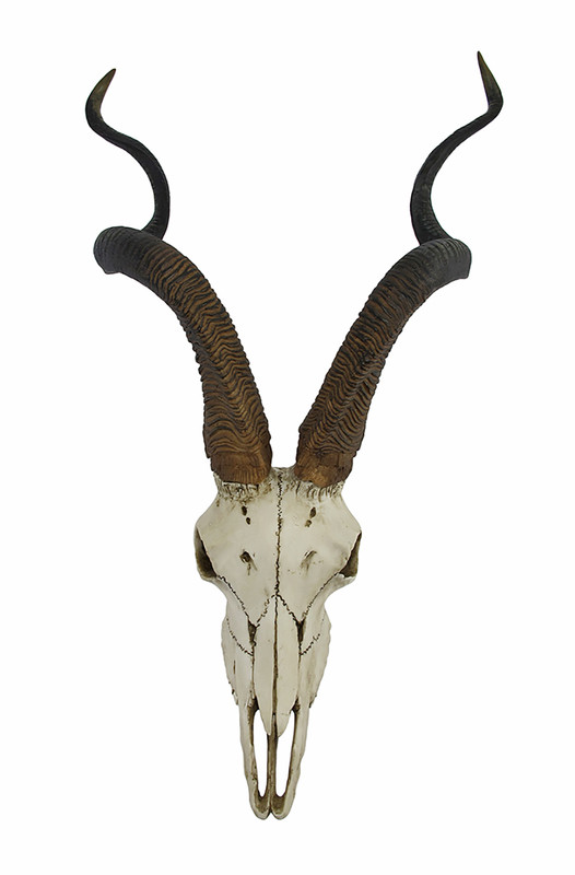 African Kudu Antelope Skull Wall Hanging Cool Twisted Horns Main image