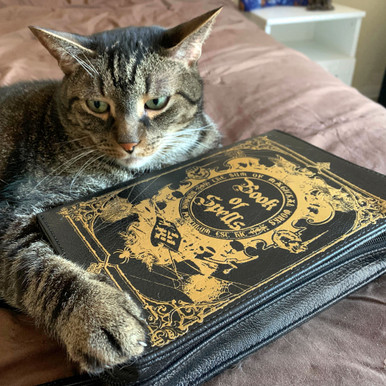 Scratch & Dent Black and Gold 'Book of Spells' Book-Shaped Zippered ...