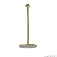 Brushed Brass