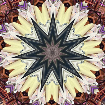 Black Starburst center with purple v's