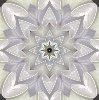 Light Grey hearts with black & white starbust