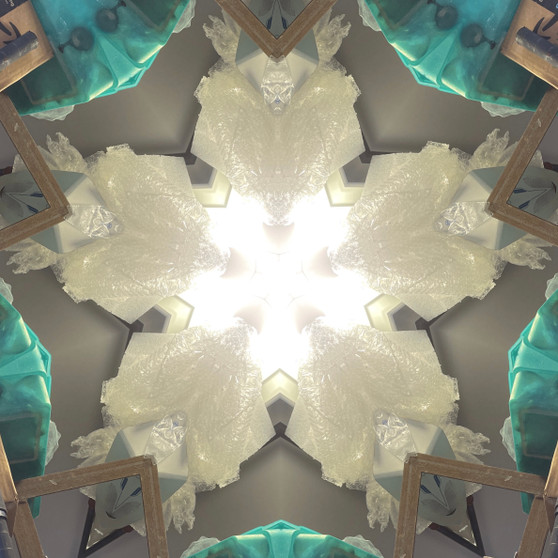 White downy star with turquoise border