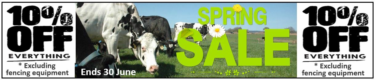 spring-sale-main-banner.jpg