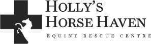 Holly's Horse Haven