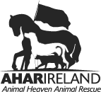 Animal Heaven Animal Rescue