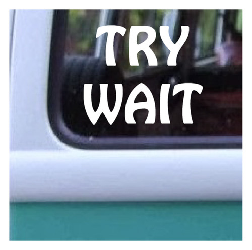 Try Wait Patience Decal 60