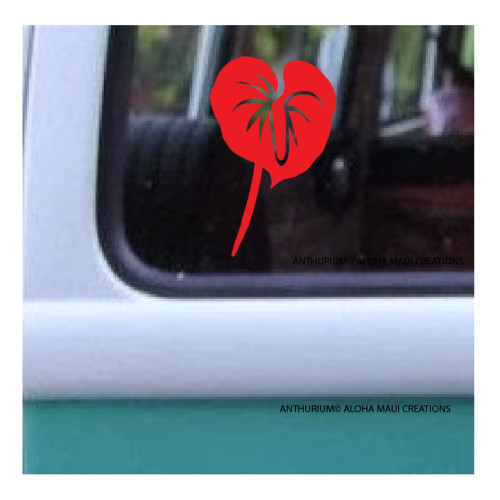 Size: 4.25" x 2.7"
Anthurium Flower©