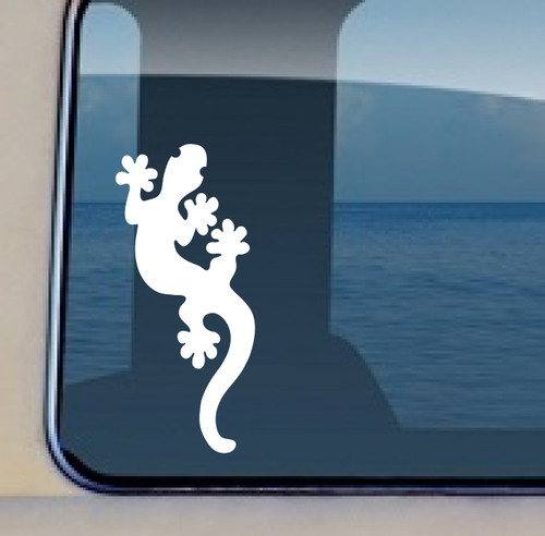 Size: 4.25" x 2.5"
Gecko Climbing Hawaii