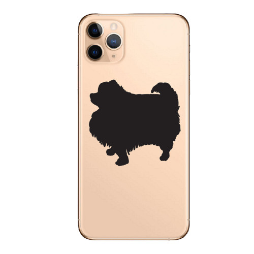 Pomeranian Dog Breed©