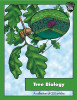 COCA Tree Biology Bundle