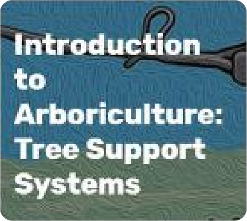 Introduction to Arboriculture - Tree Support Systems