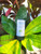Natural Aluminum Free Mineral Deodorant