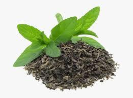 green tea powder