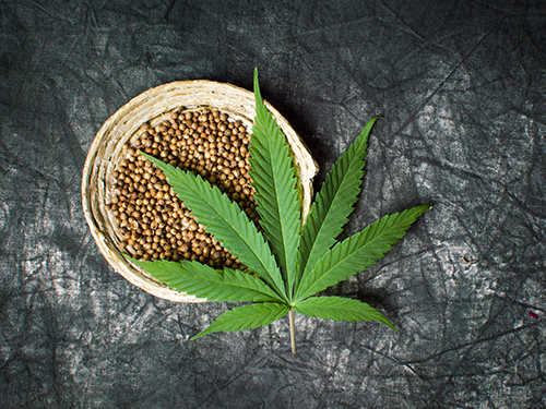 hemp oil