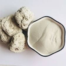 pumice stone