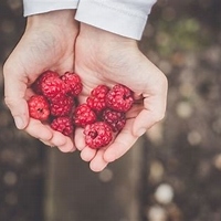 Raspberry Oil