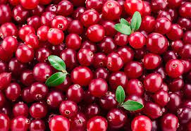 cranberry