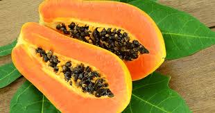 Papaya Botanical Extract