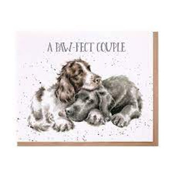 Wrendale Card "A Paw-fect Couple"