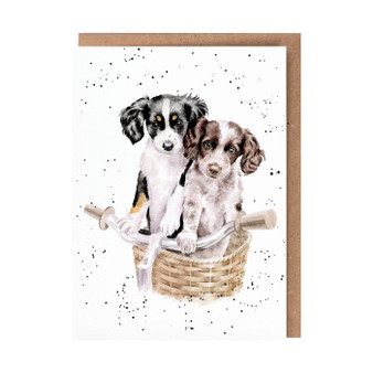 Wrendale card "Paws and Pedals"