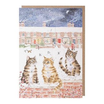 Wrendale Advent Calendar Card Cats