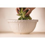 Mason Cash Cream Mixing Bowl 29cm IN STORE PICKUP ONLY