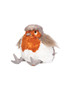 Wrendale Plush Adele Robin